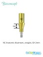 Bioconcept BC Bone Level Anatomic Abutment Compatible Straumann