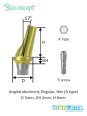 Bioconcept BV Angled Abutment Compatible Osstem & Hiossen