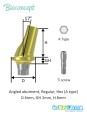 Bioconcept BV Angled Abutment Compatible Osstem & Hiossen