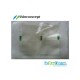 Burn-out WN Plastic Coping for Cementable Abutment,Crown