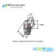 Bioconcept Hexagon Regular Multi-angled abutment φ4.8mm, Angled 30°, gingival height 3.5mm(337220)