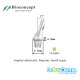 Bioconcept Hexagon RC angled abutment φ6.0mm, gingival height 4mm, Angled 17°, type A