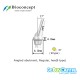 Bioconcept Hex RC angled abutment φ6.0mm, gingival height 4mm, Angled 17°, type B