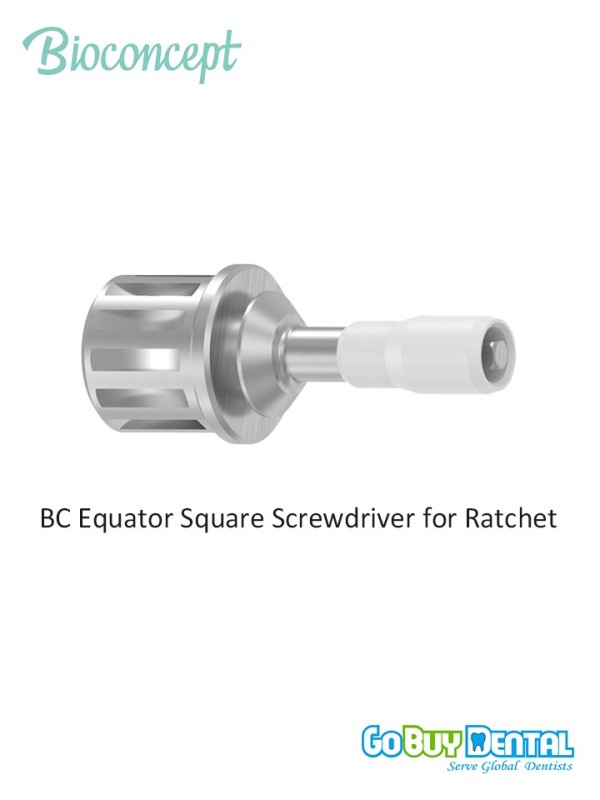 Bioconcept BC Equator Square Screwdriver for Ratchet, Square 1.25mm