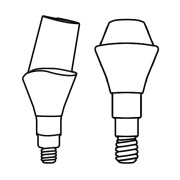 PROSTHETICS ABUTMENTS